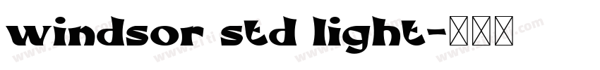 windsor std light字体转换